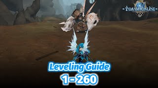 Toram Online  Leveling Guide 1  260  Best Route to Level Up your Character [upl. by Dorita]