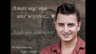 ♥ Amoi seg ma uns wieder  Andreas Gabalier Lyrics ♥ [upl. by Eyatnod406]