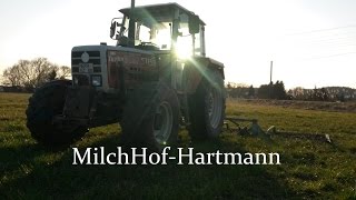 Wiesenschleppen  Steyr 8080 Turbo und Wiesenschleppe  Powerd by GoPro [upl. by Nihs245]