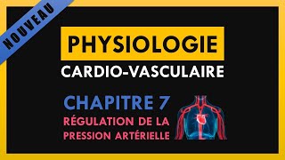 Physiologie CardioVasculaire  Chapitre 7  Régulation de la pression artérielle [upl. by Yvan481]