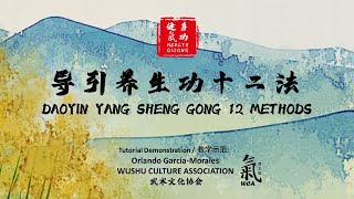 Health Qigong  Daoyin Yangsheng Gong 12 Methods 导引养生功十二法 Tutorial Demo by Orlando GarciaMorales [upl. by Atinar]