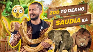 Zoo To Dekho Saudia Ka  Hussain Tareen New Vlog [upl. by Othella828]