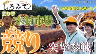 【圧巻】「木材集積のまち・津山」の中核を担う木材市場で丸太を競り落とす！（しろみて8） [upl. by Powder]