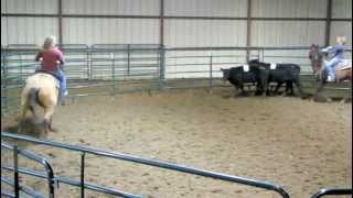 Gar Bronson  3712 sorting practice 2  View Ranch [upl. by Amend]