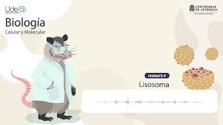 El lisosoma [upl. by Nitsreik850]