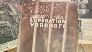 Greffe de testicules de singe  la cure de jouvence du Dr Voronoff  Le Magazine de la santé [upl. by Abba391]