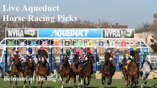 Live Aqueduct Horse Racing Picks  Belmont at the Big A [upl. by Hagood254]