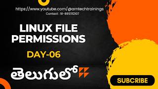 Linux File Permissions  Absolute vs Symbolic Explained [upl. by Ogir67]