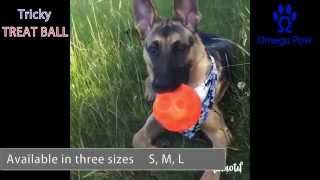 Tricky Treat Ball  Every Dogs Favorite Toy [upl. by Nossyla]