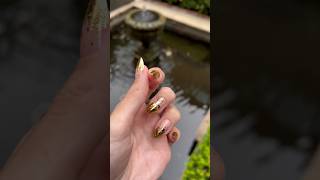 Colder than cold Golder than gold platinum baby demo anyaso golderthangold nails manicure [upl. by Shien]