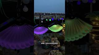 Solar String Lights Outdoor Waterproof  Outdoor Hanging Lights shorts [upl. by Barthelemy]