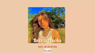 Vietsub  Breezeblocks  AltJ  Nhạc Hot TikTok  Lyrics Video [upl. by Enella]