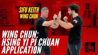 Wing Chun Hsing Yi Chuan Pi Chuan  Applications [upl. by Jews]