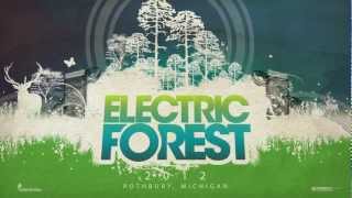 Electric Forest Festival 2012 PSG [upl. by Anomer65]