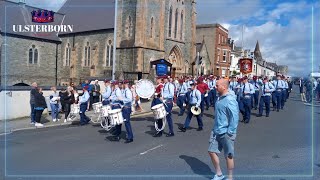 THE LOYAL EAST BELFAST  ABOD AUGUST 2023 [upl. by Nonrev]