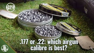 Which airgun calibre 22 or 177 [upl. by Moulton]