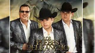 10 Éxitos de  Los Plebes Del Rancho De Ariel Camacho [upl. by Trebleda]