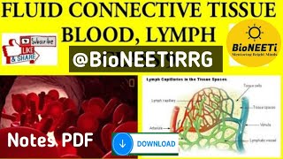 Fluid Connective Tissue Blood And Lymph Structural Organisation In Animals NEET NCERT [upl. by Adnara]