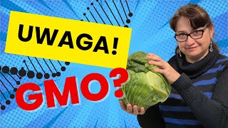 Cała Prawda o Tworzeniu GMO [upl. by Eicaj]