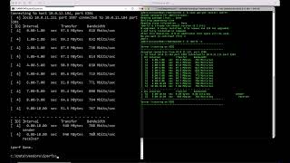 TT20 iPerf for TCP iPerf for UDP [upl. by Strawn692]