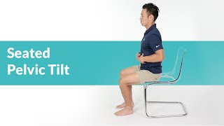 Easy Seated Pelvic Tilt Exercise [upl. by Nosle]