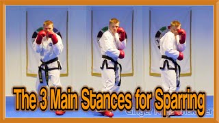 Taekwondo Sparring  The 3 Main Stances  GNT Martial Arts [upl. by Ecylla]