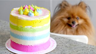 THE BEST Rainbow Dog Birthday Cake RECIPE [upl. by Llerehc]