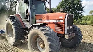 Massey Ferguson 3125 i Dexwal 3m Bezorkowa uprawa pod rzepak 2023r [upl. by Jessen]