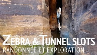 ZEBRA amp TUNNEL  Bloqués par leau dans les slots canyons [upl. by Seamus]