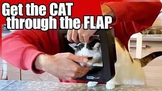 How To Install SureFlap AND Get Your Cat Trough It Easy [upl. by Burchett]