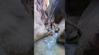 The Best Hike to Kanarra Falls Waterfalls in Utah Shorts Hiking [upl. by Atiram156]