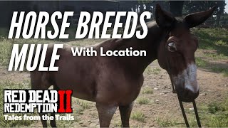 Red Dead Redemption 2 Horse Breeds Mule [upl. by Noseaj]