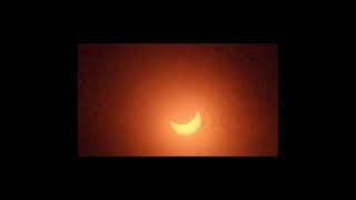 Enter The Darkness Full Totality Solar Eclipse 4824 as seen from Ohio shorts [upl. by Kellen]