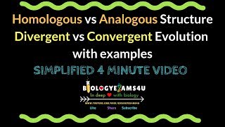 Homologous vs Analogous Structure Divergent vs Convergent Evolution with examples [upl. by Morgan984]