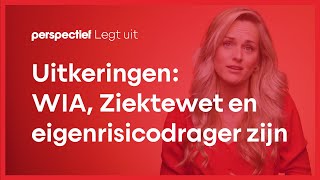 Uitkeringen wat u moet weten over WIA WGAIVA Ziektewet en Eigenrisicodrager zijn [upl. by Alphonso503]