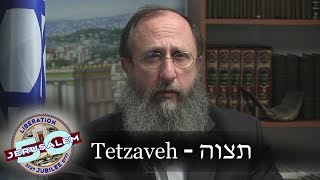 Weekly Torah Portion Tetzaveh [upl. by Maisie]