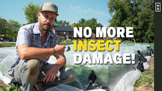 How To Keep Pests Out Of The Garden  EcoFriendly And Easy Method [upl. by Nois220]