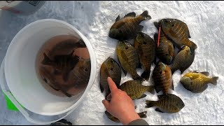 2 MAN ICE FISHING TOURNAMENT OKOBOJI IOWA Big bluegills NAIFC [upl. by Krell]