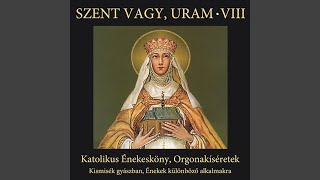 Isten áldd meg a magyart Magyar himnusz [upl. by Amahcen]