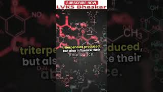 Triterpenoid biosynthesis [upl. by Volny372]