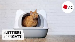 Lettiere per gatti il nostro test su quelle vegetali [upl. by Larkins]