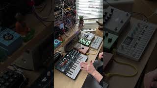 Improve focus 🧘🏽‍♂️🎻🪲 musicstudio electronicmusic synth [upl. by Hillard]