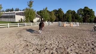 Hunter Equitation Over fences 2”  Class B  Jayden PeeblesMuise riding Jazz [upl. by Yelreveb]