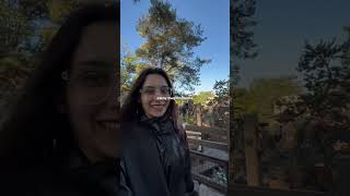 Paseando en Disneyland Paris ❤️  en TikTokIG pilisuagi vlog quecomoenundia argentina disney [upl. by Egwan]