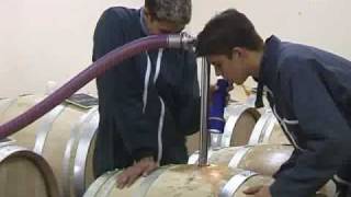 Vinification en fûts de chêne  Champagne [upl. by Nwahsel]