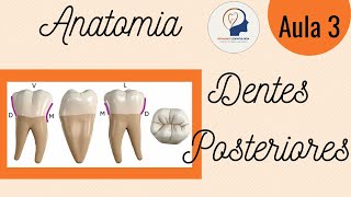 ANATOMIA COMUM AOS DENTES POSTERIORES [upl. by Oicnedif377]