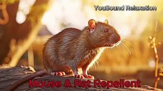 5 Hours of Ultrasonic Mouse and Rat Repellent  HighFrequency Pest Control Sound [upl. by Latreese21]