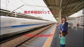 Japan Trip 2018  Shinkansen passing at high speed Himeji station 4K [upl. by Valma]