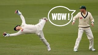 Best Wicket Keeper Catches Ever in Cricket History [upl. by Ys]