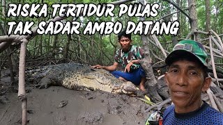 MOMEN AMBO DATANGIN BUAYA RISKA SAAT TIDUR DISARANG [upl. by Atikehs955]